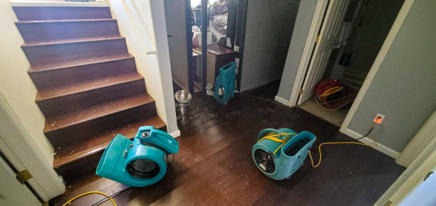 Best Flood damage cleanup  in Conneaut, OH