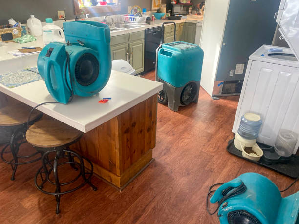 Best Water damage restoration process  in Conneaut, OH