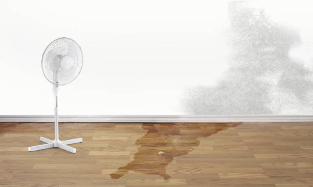 Best Commercial water damage restoration  in Conneaut, OH