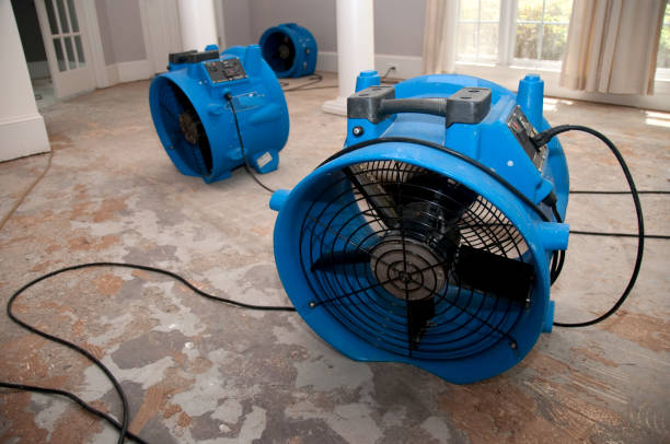 Best Professional water damage repair  in Conneaut, OH