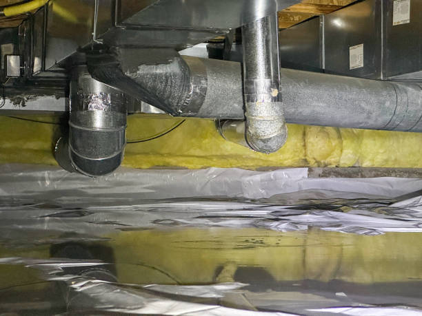 Best Water damage restoration insurance claims  in Conneaut, OH